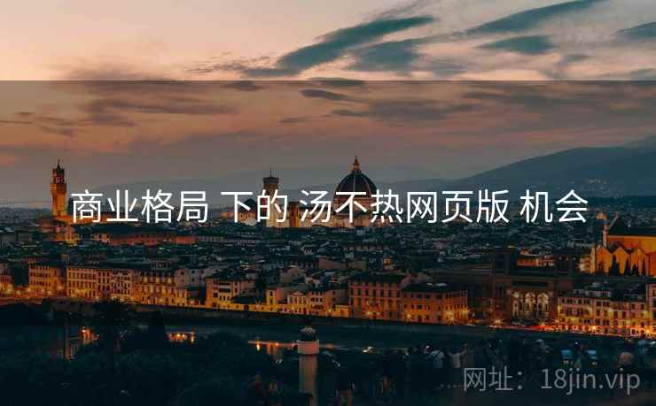商业格局 下的 汤不热网页版 机会