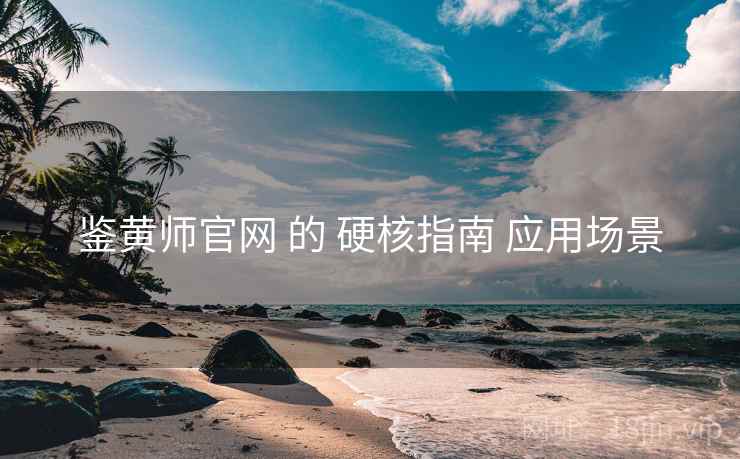 鉴黄师官网 的 硬核指南 应用场景