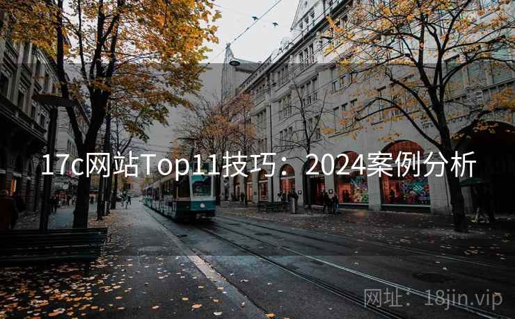 17c网站Top11技巧：2024案例分析