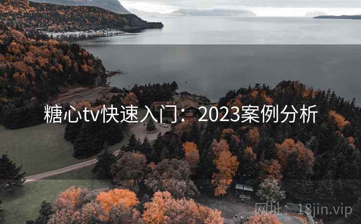 糖心tv快速入门：2023案例分析