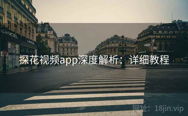 探花视频app深度解析：详细教程