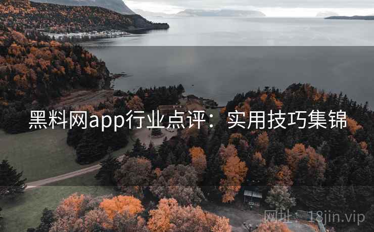 黑料网app行业点评：实用技巧集锦