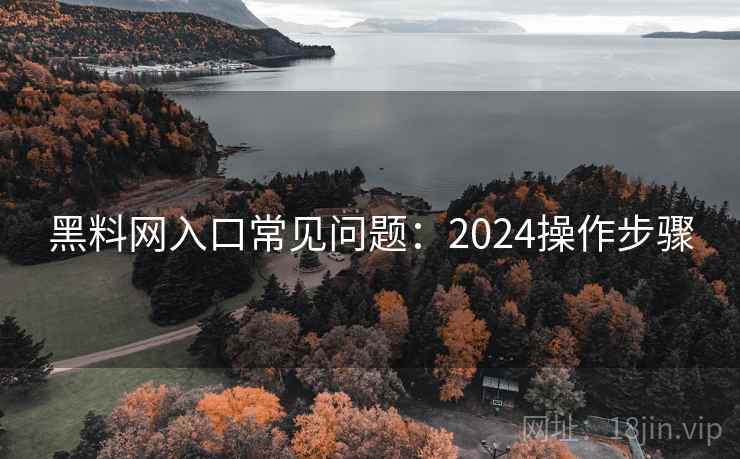 黑料网入口常见问题：2024操作步骤